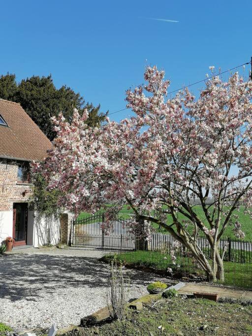 Gite Rural La Ferme Du Semeur-Zaaiershof Lessines Экстерьер фото